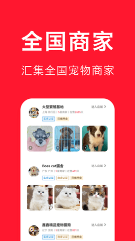 宠物宝截图