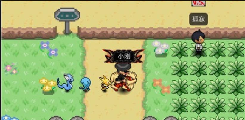 PokePlus中文版