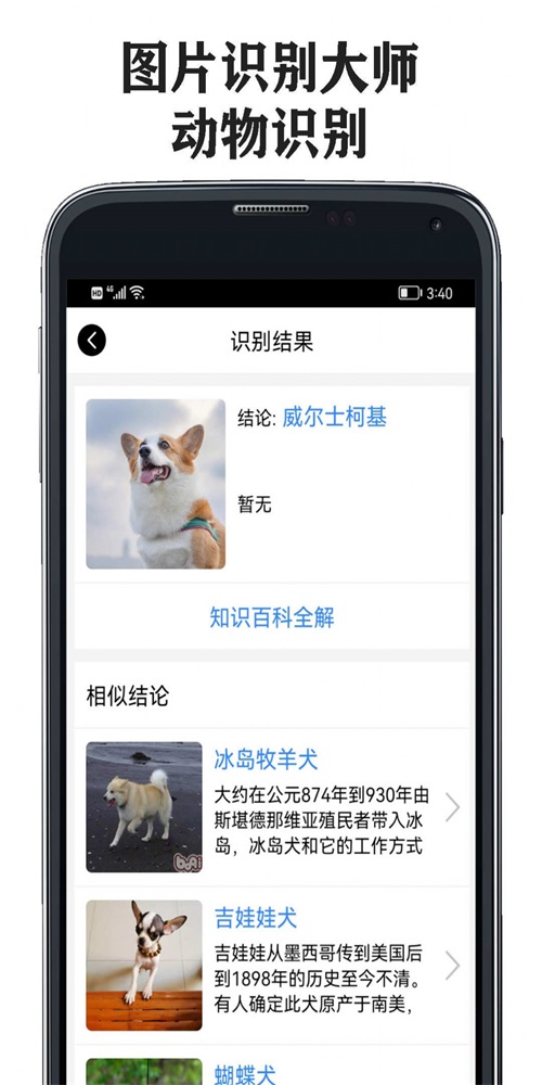 图片识别大师截图