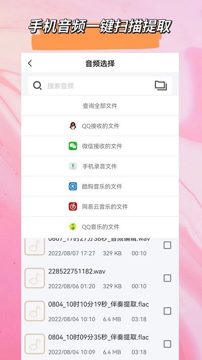 音频格式转换大师截图