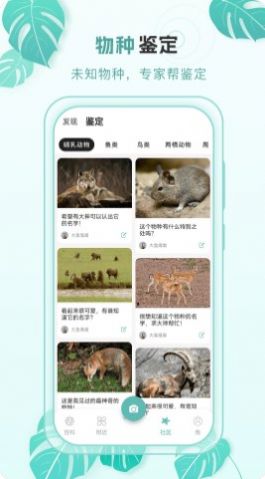 百科物语截图