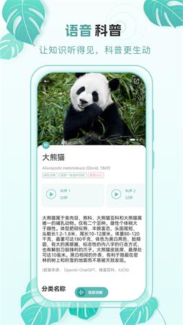 百科物语截图