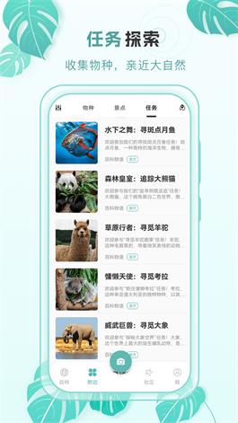 百科物语截图