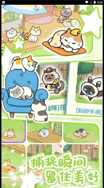 地铁遇见猫截图