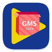 gmsinstaller