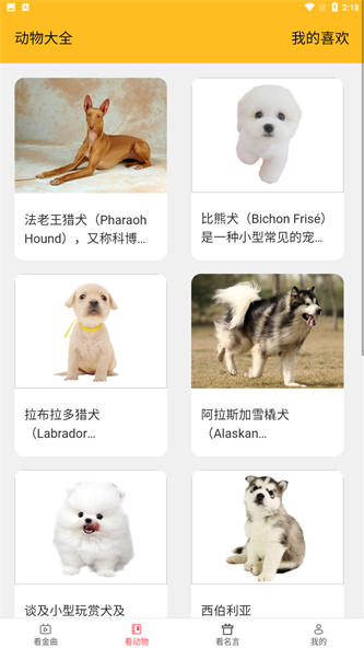 金牌聚看app截图