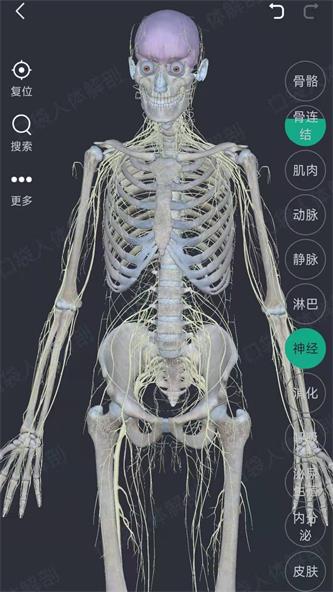 万康人体解剖截图