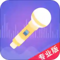 语聊音频变声器精英版