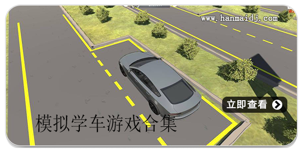 模拟学车