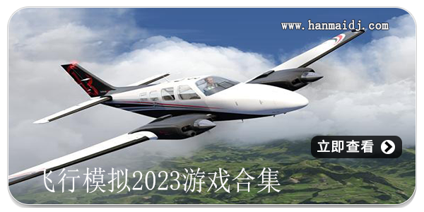 飞行模拟2023