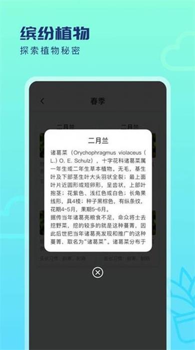 缤纷四季截图