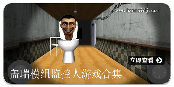 盖瑞模组监控人
