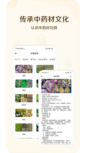 经络穴位指南截图
