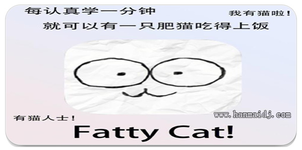 fattycat