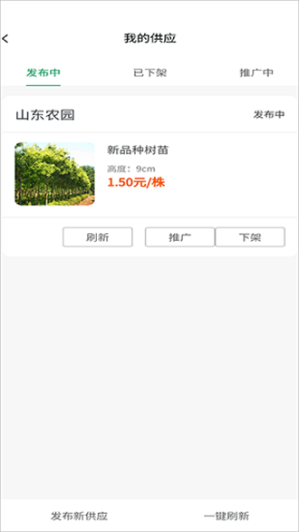 苗木联盟