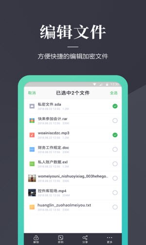 文件加密狗截图