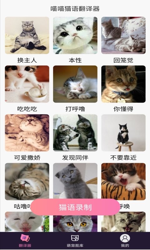 喵喵猫语翻译器截图