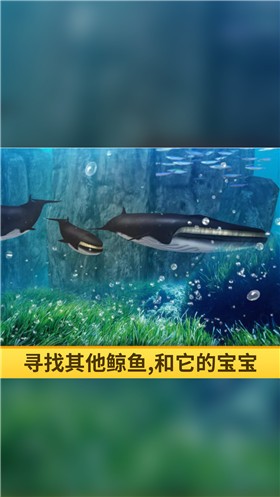 海洋3d蓝鲸模拟截图