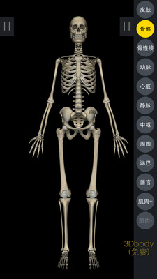 3DBody解剖免费版