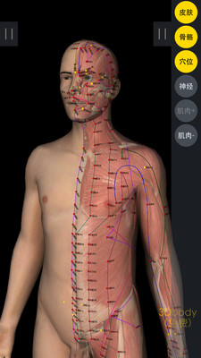 3DBody解剖免费版