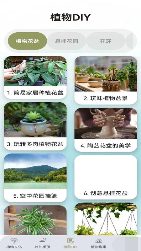 植物小伙伴截图