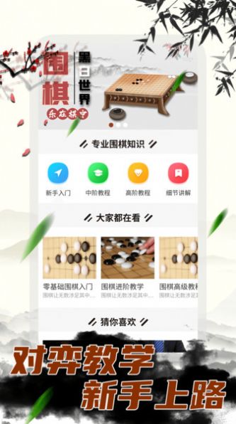 大师围棋截图