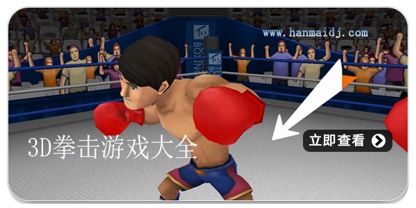 3d拳击游戏