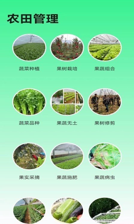 绿色农场截图