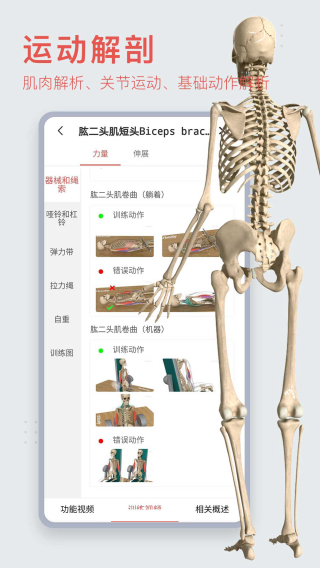 3DBody截图