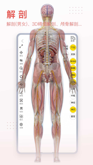 3DBody截图