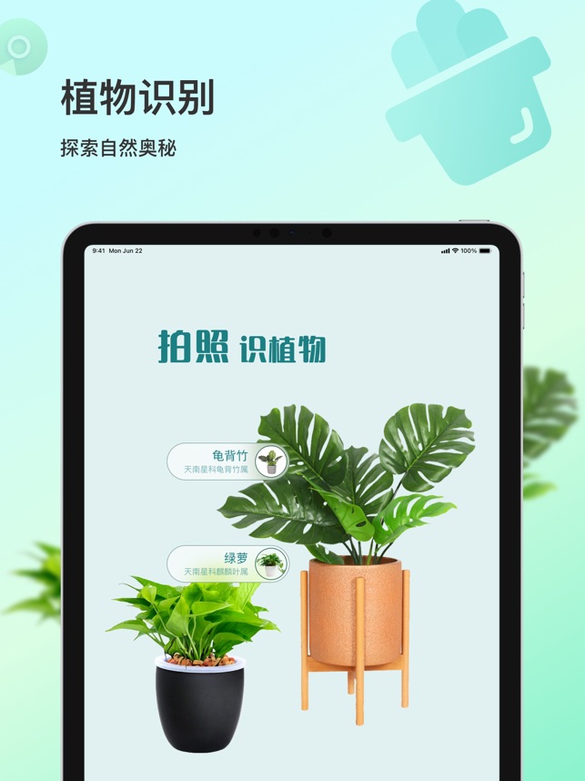 花卉识别截图