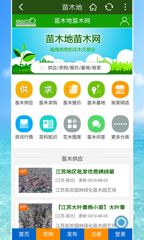 苗木地截图