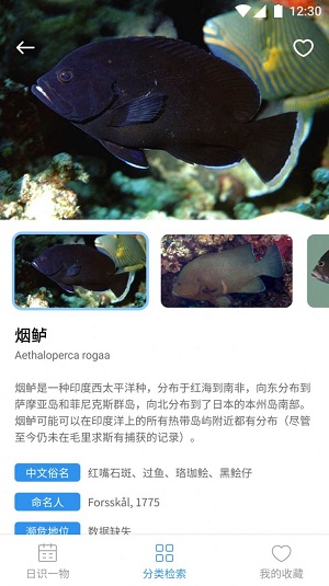 奇妙海洋百科知识截图