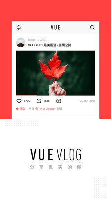 VUE Vlog截图