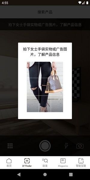 路易威登截图