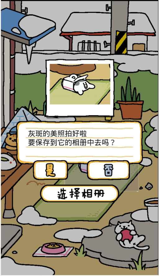 猫咪后院中文版截图