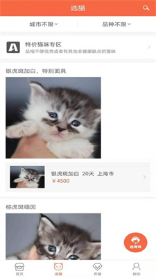 家连猫舍截图