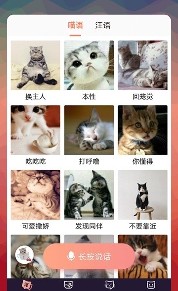 猫语互译