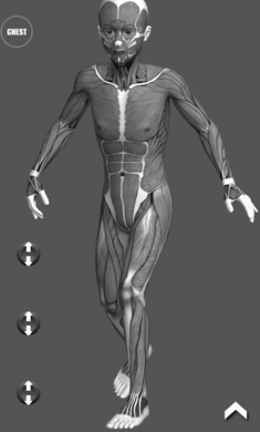 3D人偶制作