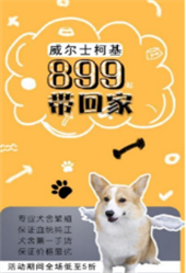 宠狐截图