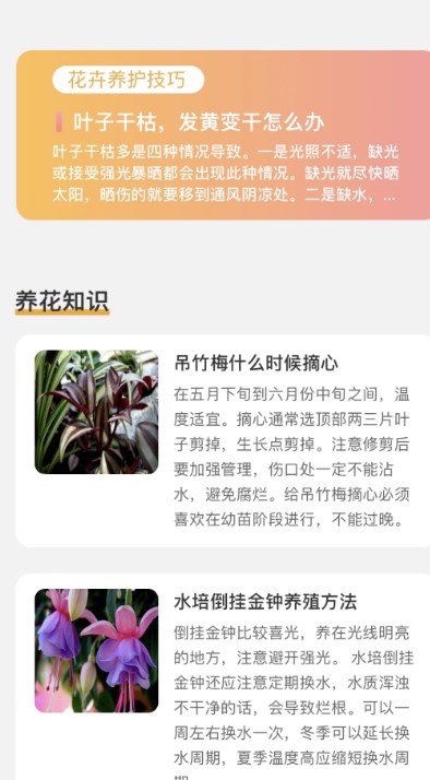 百花悦看截图