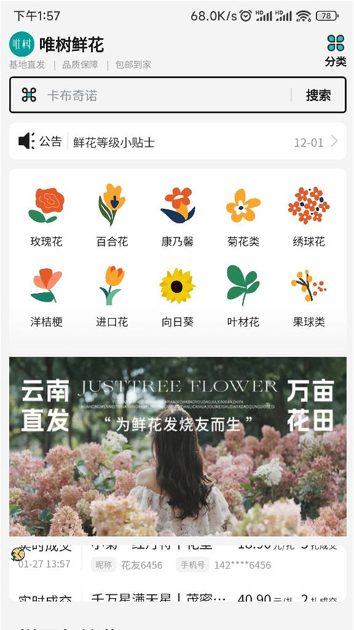 唯树鲜花