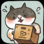 猫箱物语