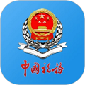 重庆电子税务局