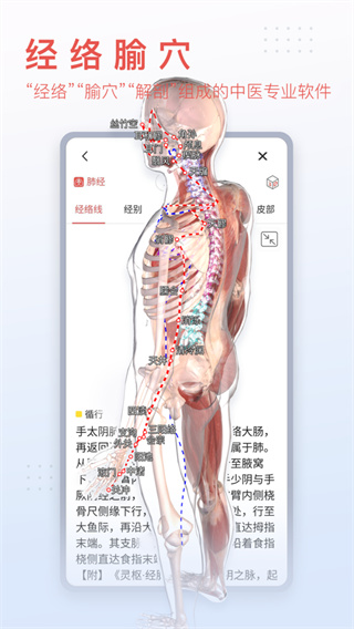 3dbody免费版截图