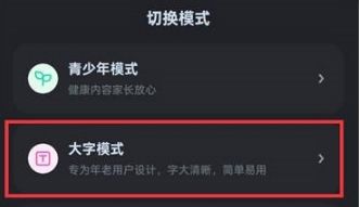 酷狗音乐大字版