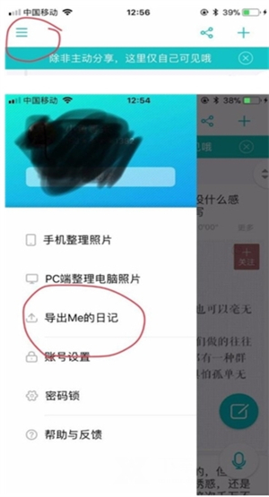 WithMe安卓版怎么导出日记
