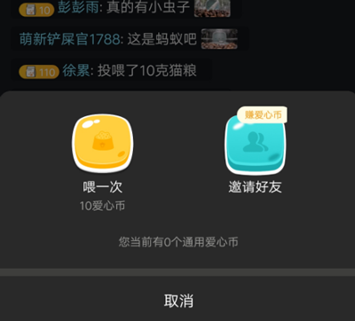 哈啰街猫app都有什么功能