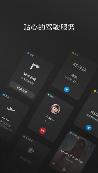 HiCar智行通用版截图