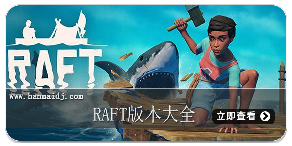 raft版本大全